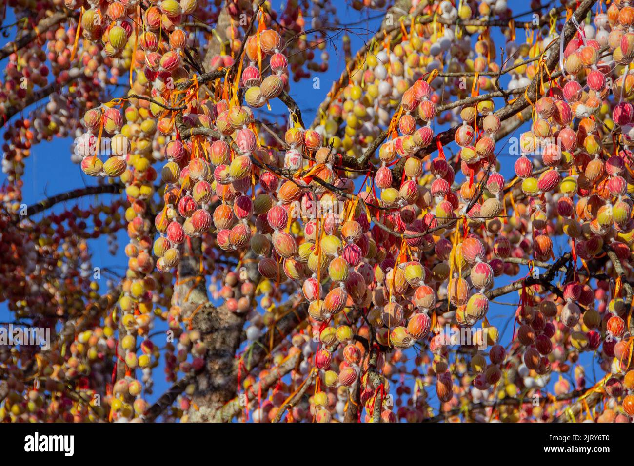 Pomerode Easter Tree in Santa Catarina, Brazil - May 5, 2019: Details of the world's largest Easter tree in the town of Pomerode in Santa Cartarina. Stock Photo