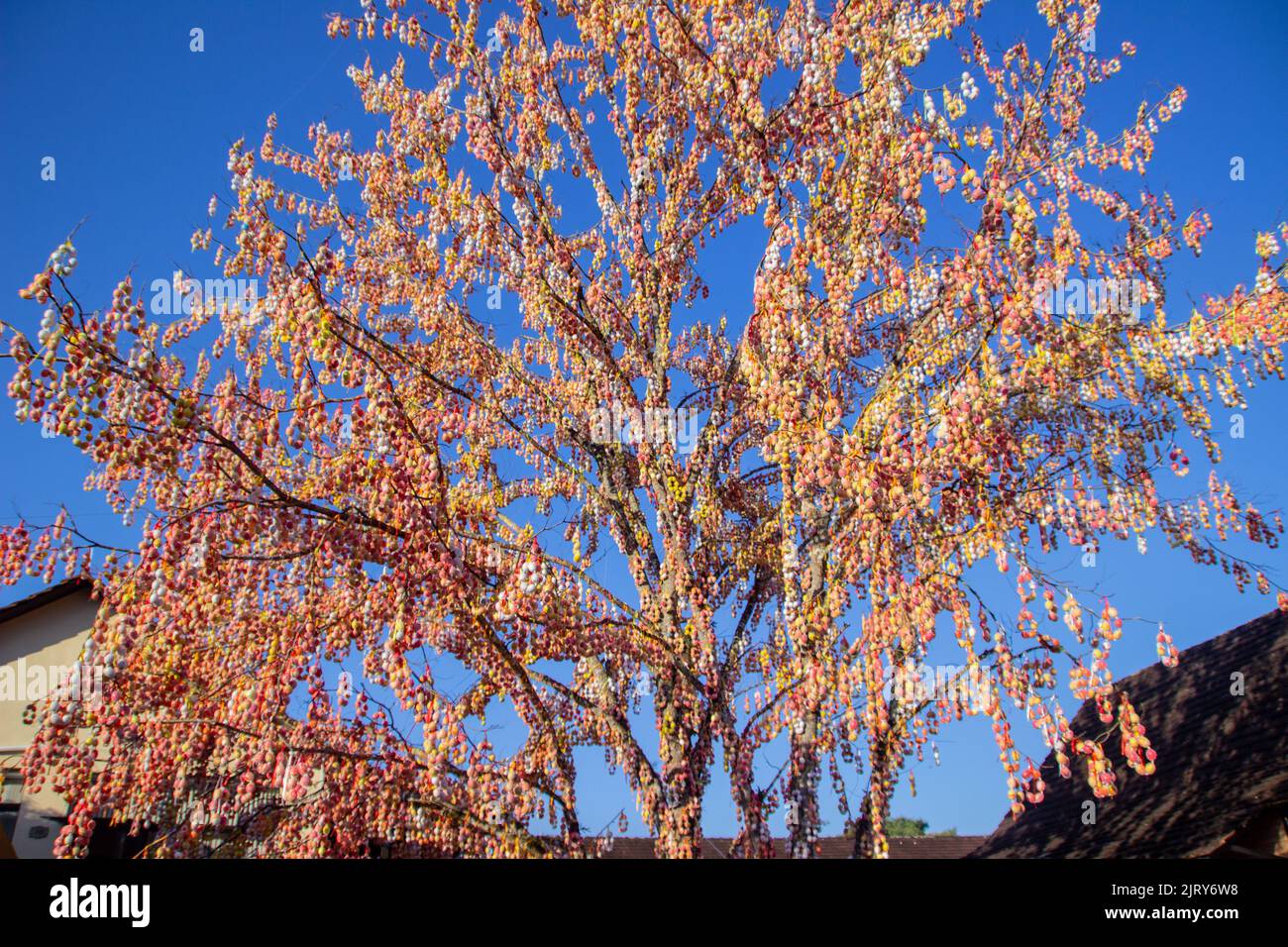 Pomerode Easter Tree in Santa Catarina, Brazil - May 5, 2019: Details of the world's largest Easter tree in the town of Pomerode in Santa Cartarina. Stock Photo