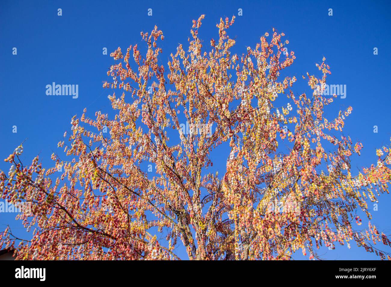 Pomerode Easter Tree in Santa Catarina, Brazil - May 5, 2019: Details of the world's largest Easter tree in the town of Pomerode in Santa Cartarina. Stock Photo