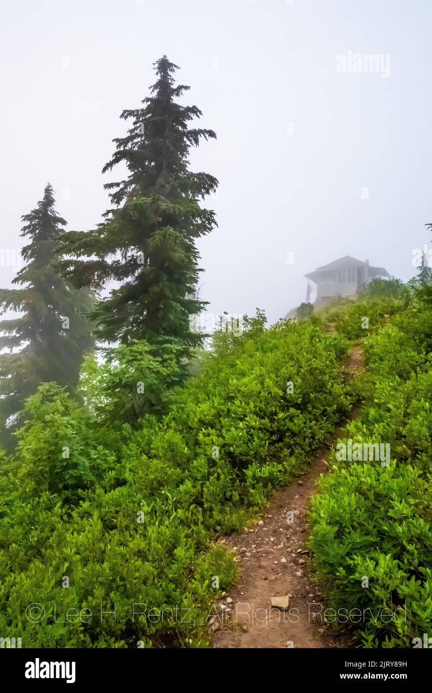 Evergreen Mountain Lookout on a foggy morning, Mt. Baker–Snoqualmie National Forest, Washington State, USA Stock Photo