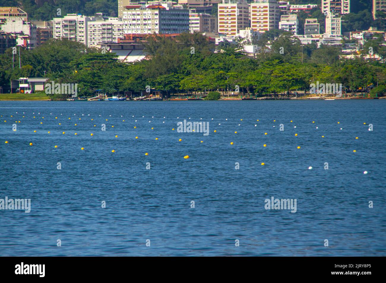 Rodrigo de freitas lagoon christmas tree