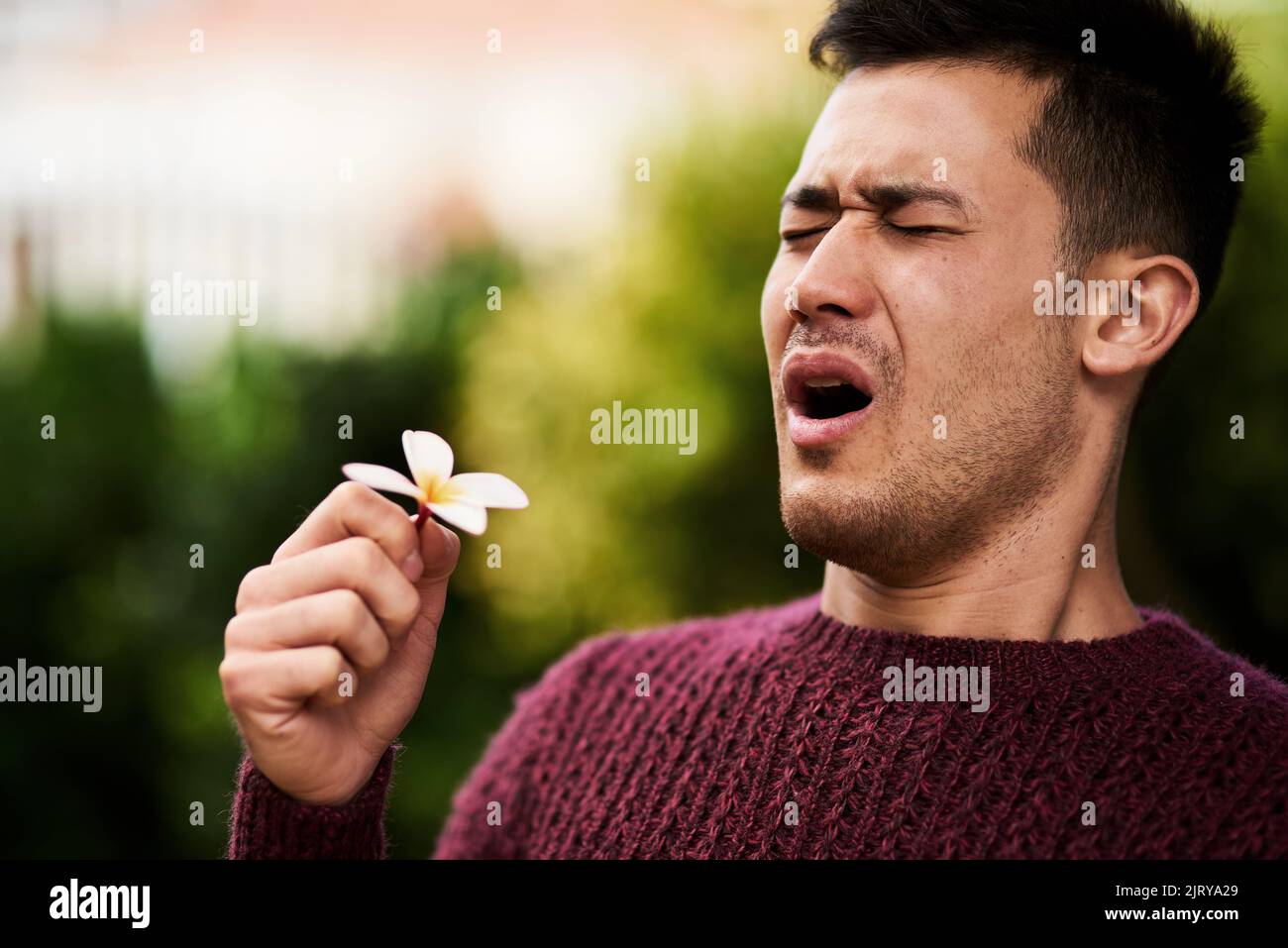 Allergy season has got him sneezing. a young man sneezing after