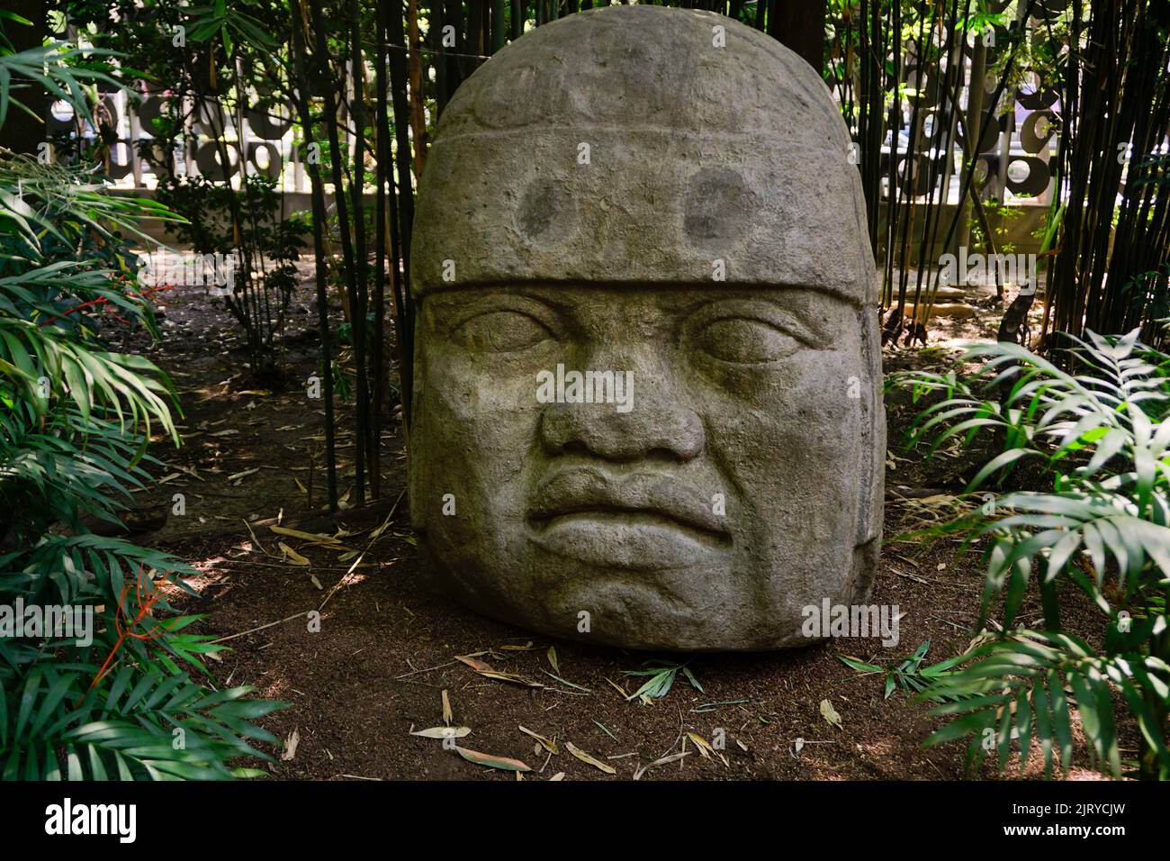 Olmec head, National Anthroplogy Museum, Chapultepec Park, Mexico City, Mexico Stock Photo
