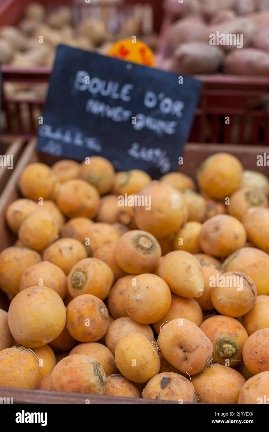 Historic market hall Marche couvert, turnip (Brassica rapa subsp. rapa