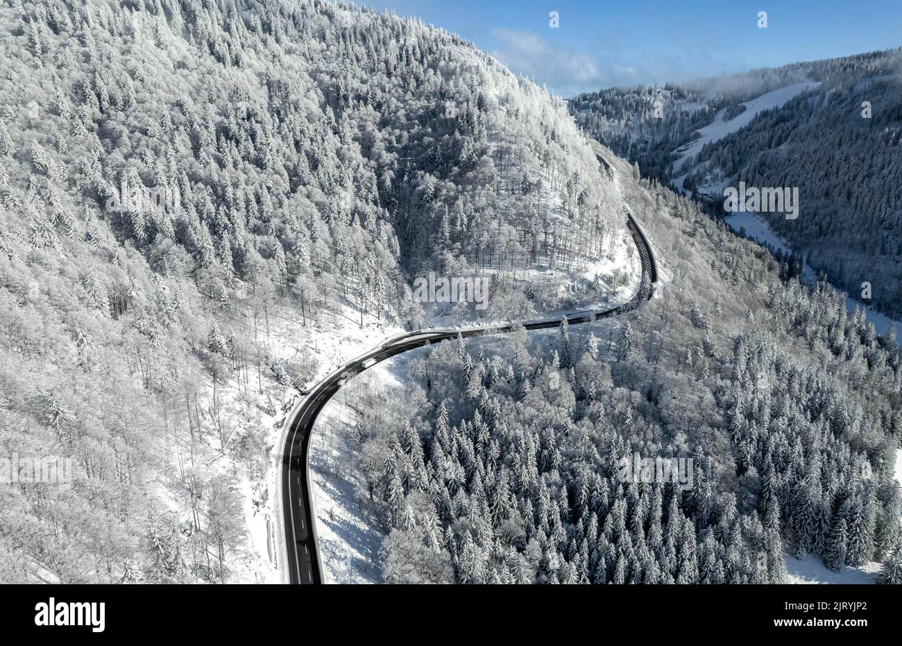 White winter forest landscape hi-res stock photography and images - Alamy