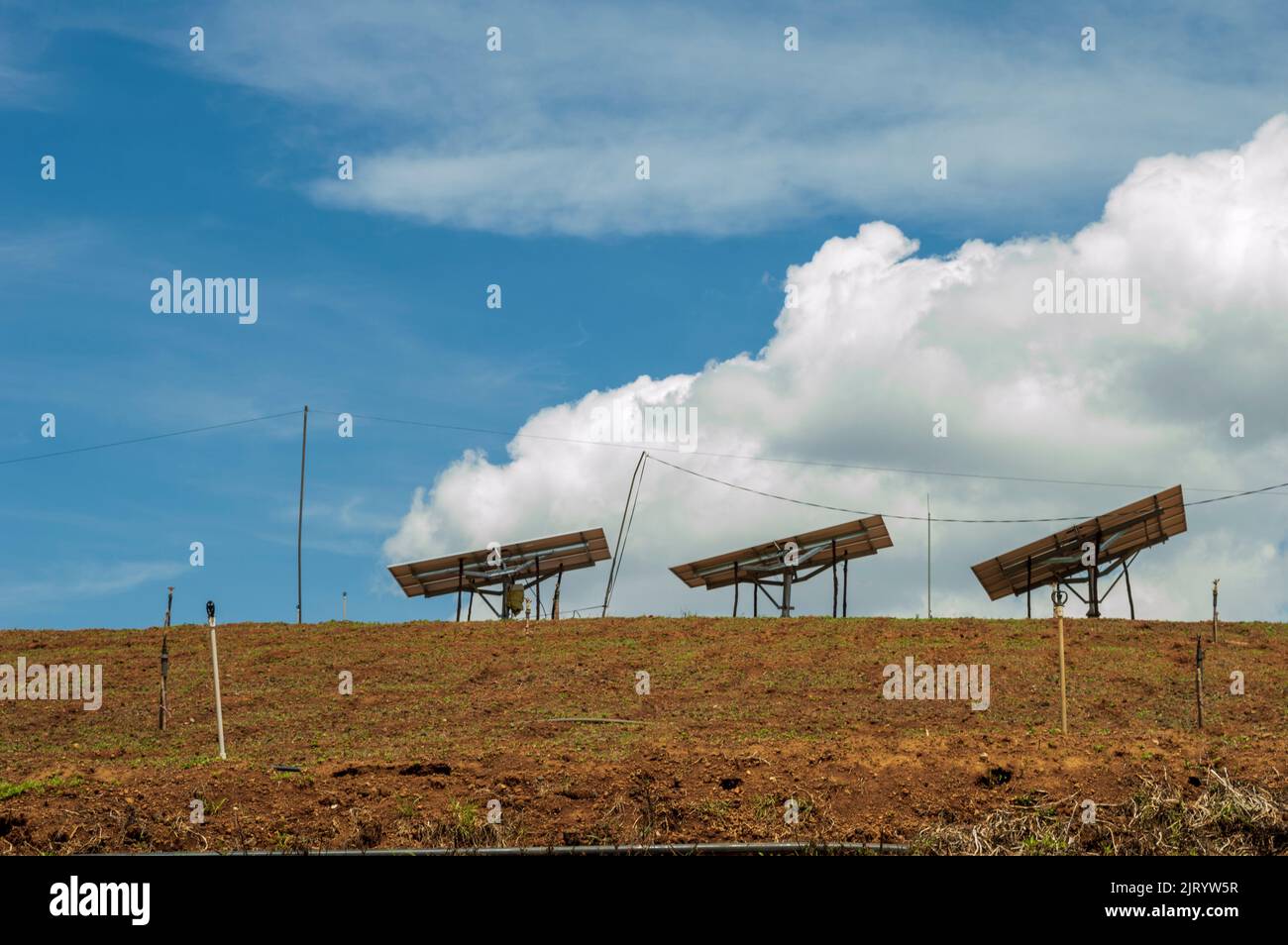 Greenhouses or tunnel farming for cultivation of crops and vegetables