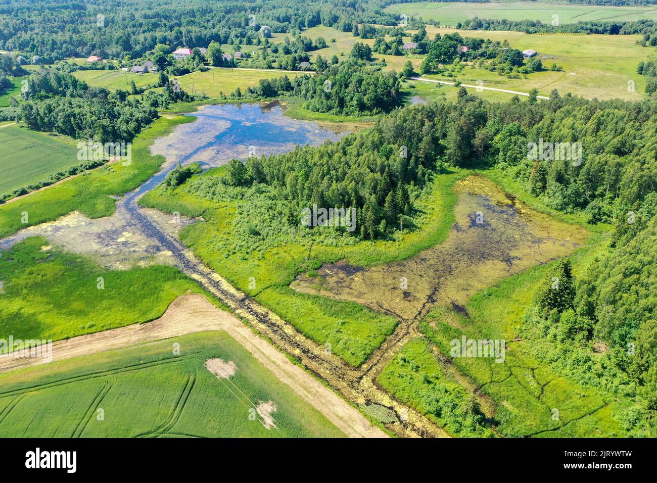 Aerial view of green overgrown lake surrounded with forest Stock Photo ...