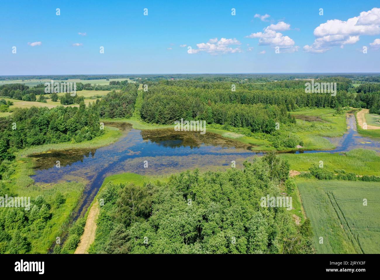 Aerial view of green overgrown lake surrounded with forest Stock Photo ...