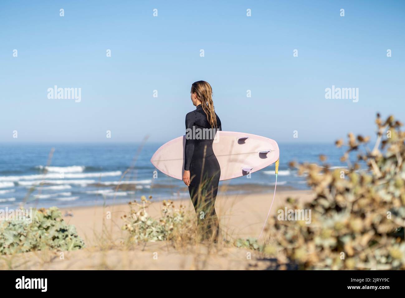 Surfer girl at the beach with her surfboard looking at the ocecan waves in the morning. Stock Photo