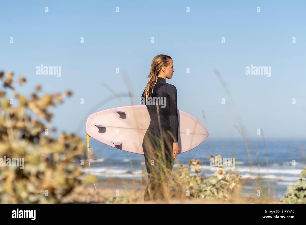 Female surfer girl at the beach with her surfboard looking at the waves in the morning. Stock Photo