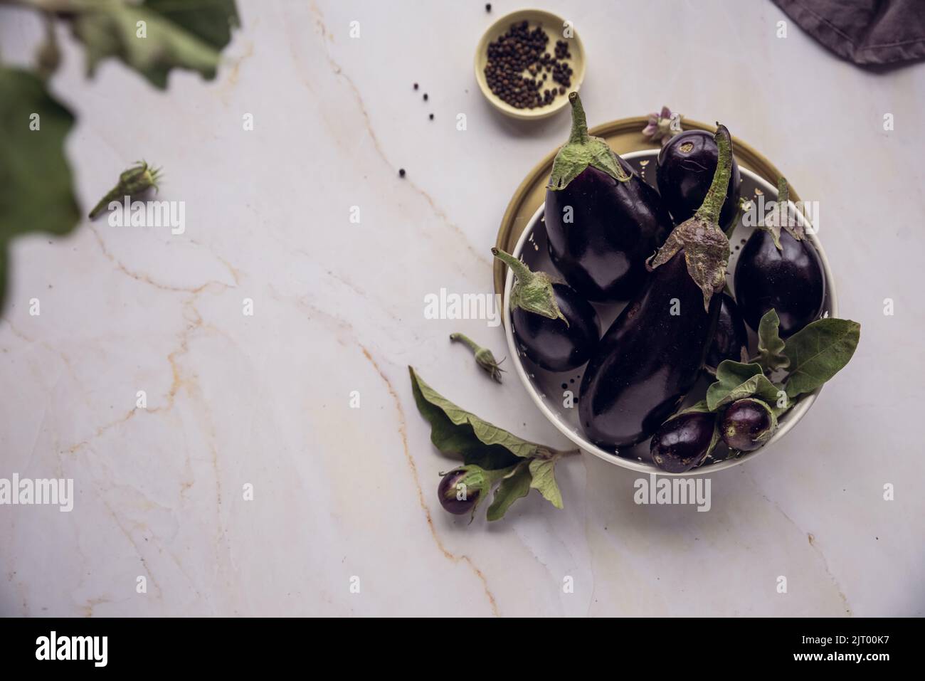 Purple eggplants of various shapes on a platter on a light table. Beautiful vegetable still life. Vegan food concept. Top view, copy space Stock Photo