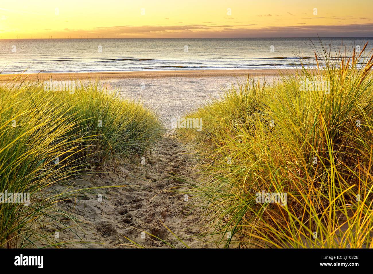 A beautiful sandy path down to the ocean. Footprints in the sand between beach grass. Sunset, golden hour. North Holland dune reserve, Egmond aan Zee, Stock Photo