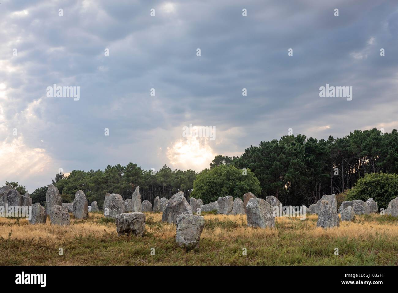 Megalithic menhirs in landscape near Carnac, evening light, Brittany, France Stock Photo