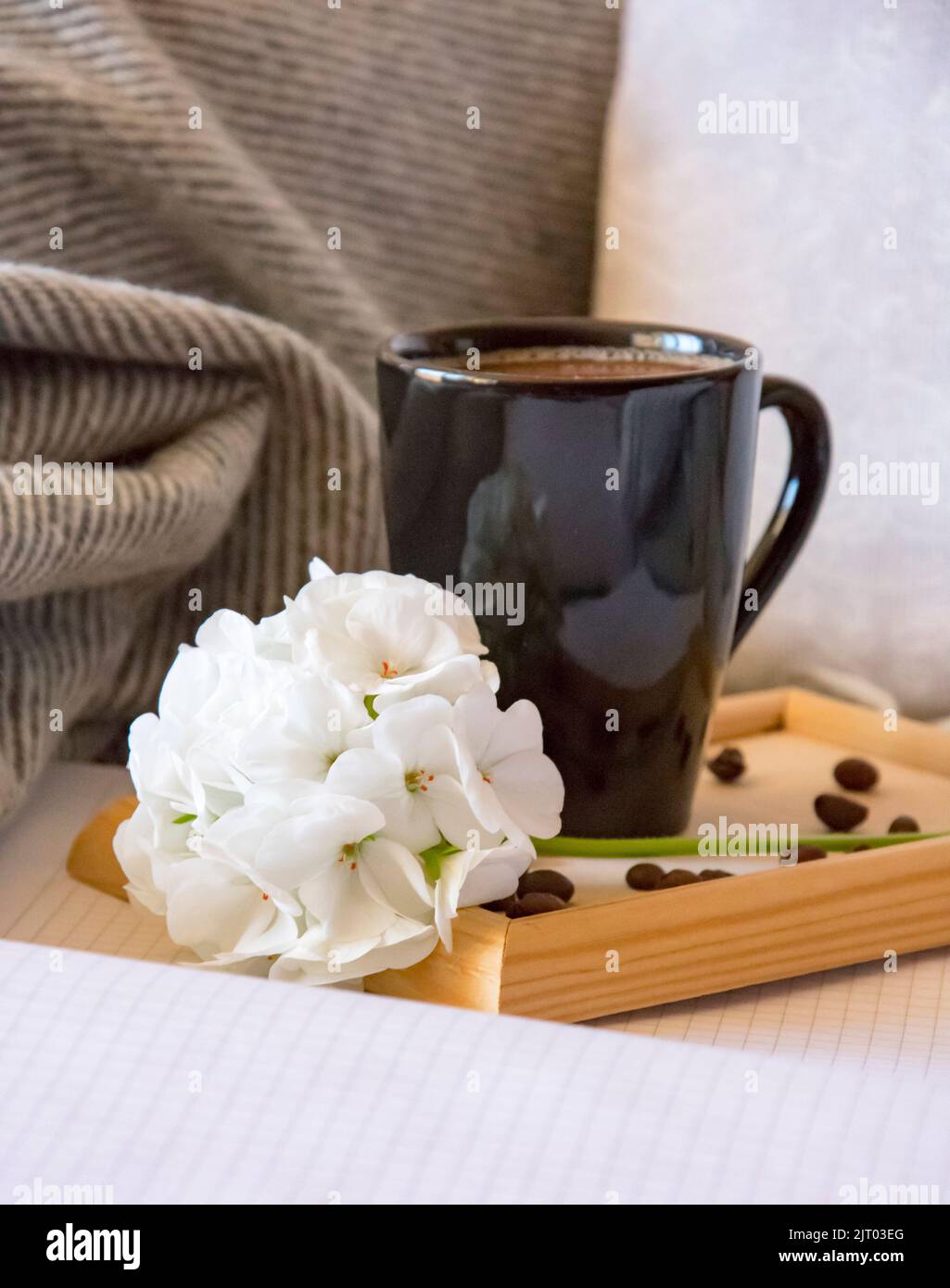 warm home atmosphere, a mug of freshly brewed coffee, grains, a notebook for records, a grey blanket and pillows. Stock Photo