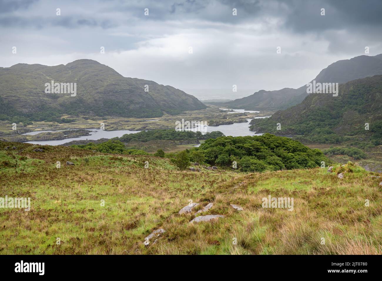 Lakes in Killarny National Park County Kerry, Ireland Stock Photo