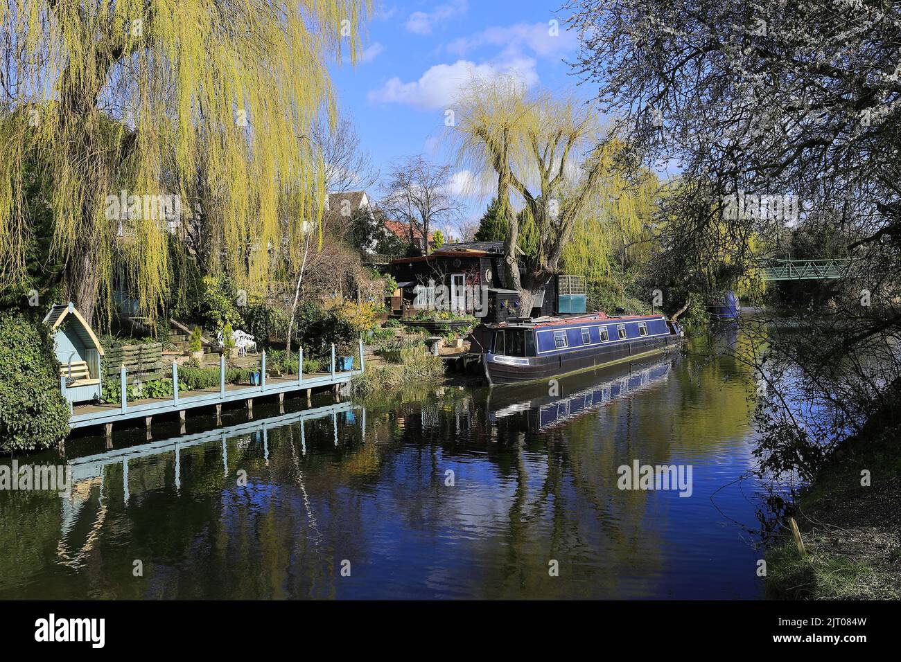 Narrowboats; river Nene; March town; Cambridgeshire; England; UK Stock