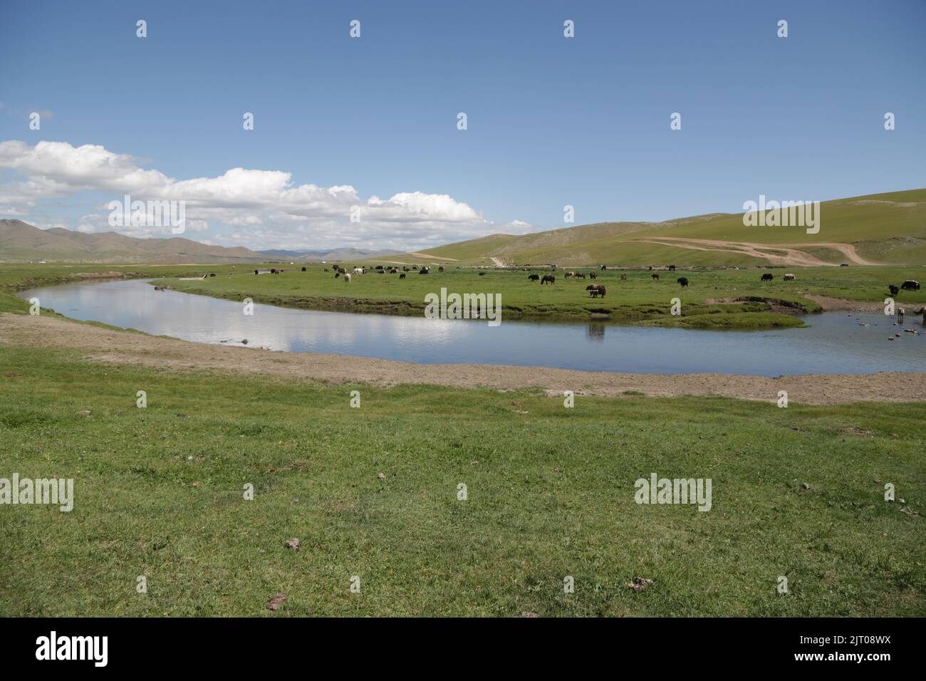 in the land of mongolia the nature and environment Stock Photo - Alamy