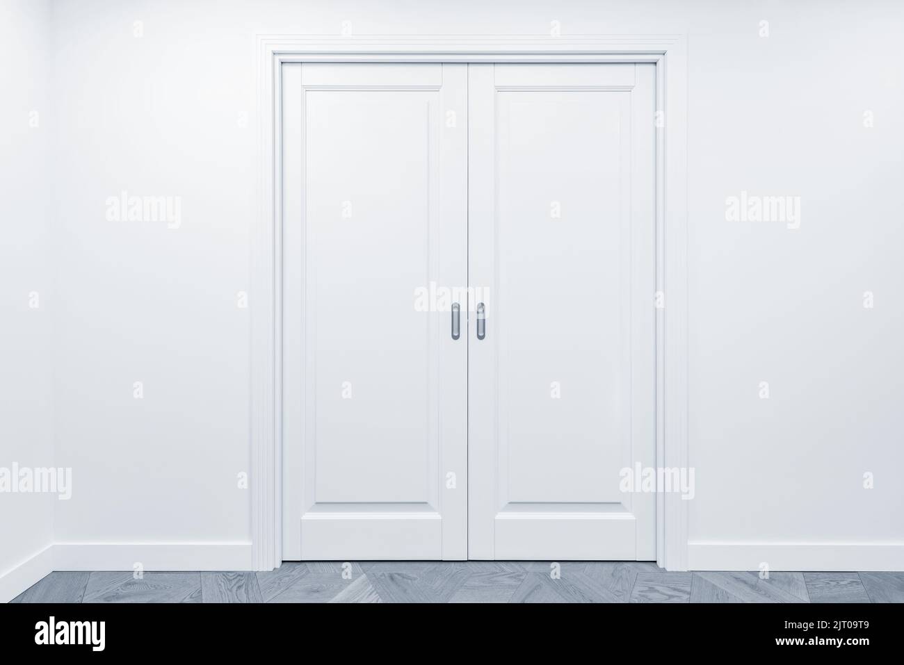 Curated visual reference: Doors Inside Of The Luxury Prestige Apartments Stock Photo Photo Inspiration