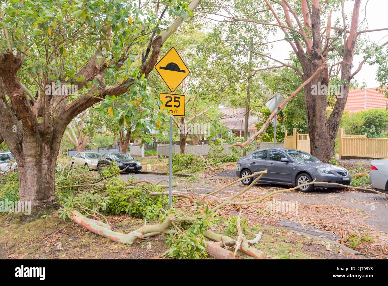 Sydney Aust Nov 26th 2019: A sudden storm ripped through suburbs in northern Sydney snapping trees and power poles leaving carnage but no loss of life Stock Photo