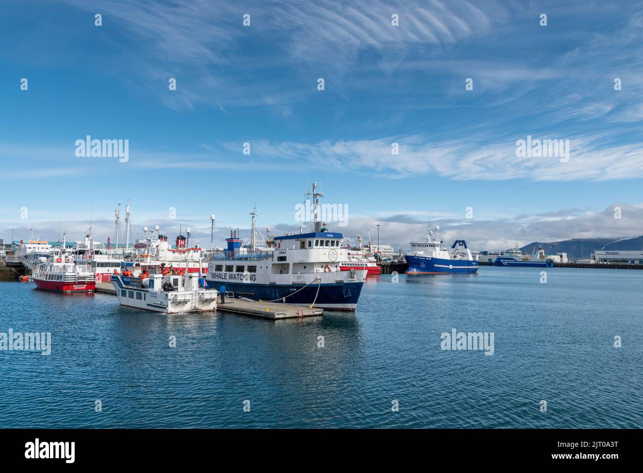 Boats in the Harbour, many taking tourists out on trips, Reykjavik, Iceland Stock Photo