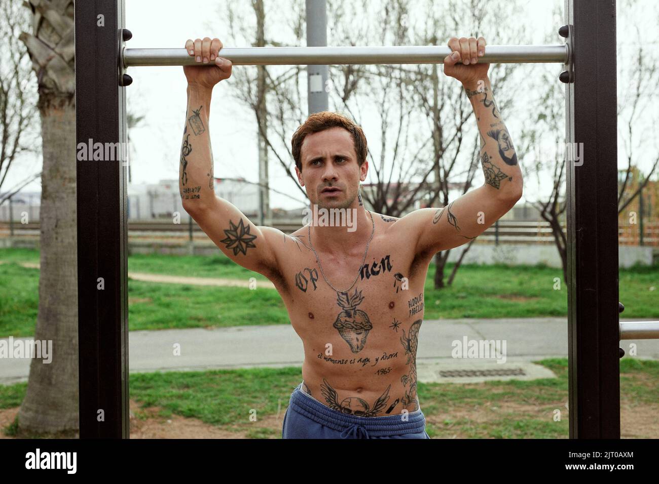 ORIOL PLA in WILD FLOWERS (2022) Original title GIRASOLES SILVESTRES