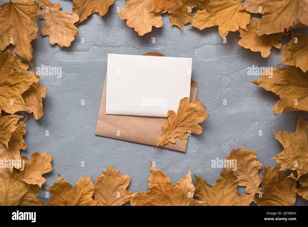 Autumn composition. Craft envelope. card mockup with autumn marple leaves. Flat lay, top view, copy space  Stock Photo