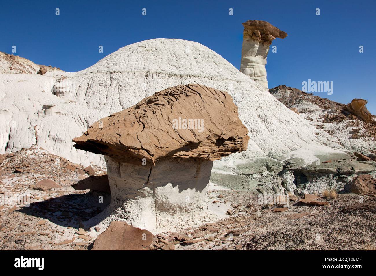 How Are Rim Rocks Made Camel Rock, a hoodoo in the Upper White Rocks. Paria Rimrocks, Grand ...