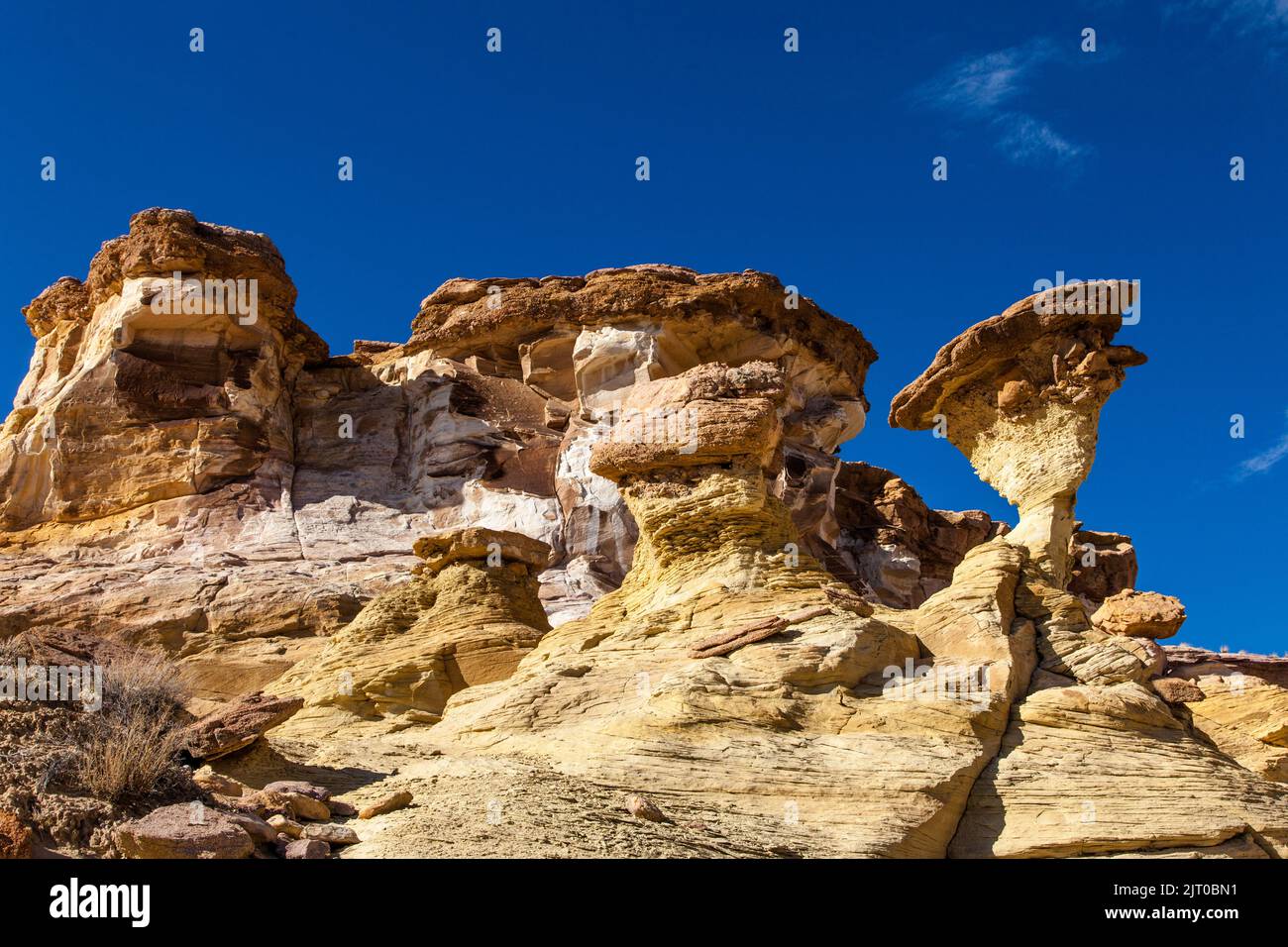 The Twisted Hoodoo in the Upper White Rocks, Paria Rimrocks, Grand
