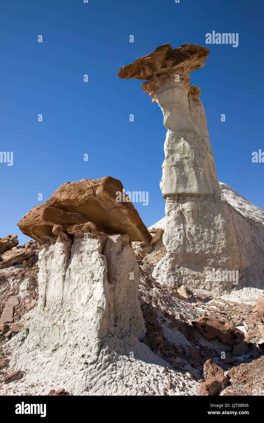 Camel Rock, a hoodoo in the Upper White Rocks. Paria Rimrocks, Grand