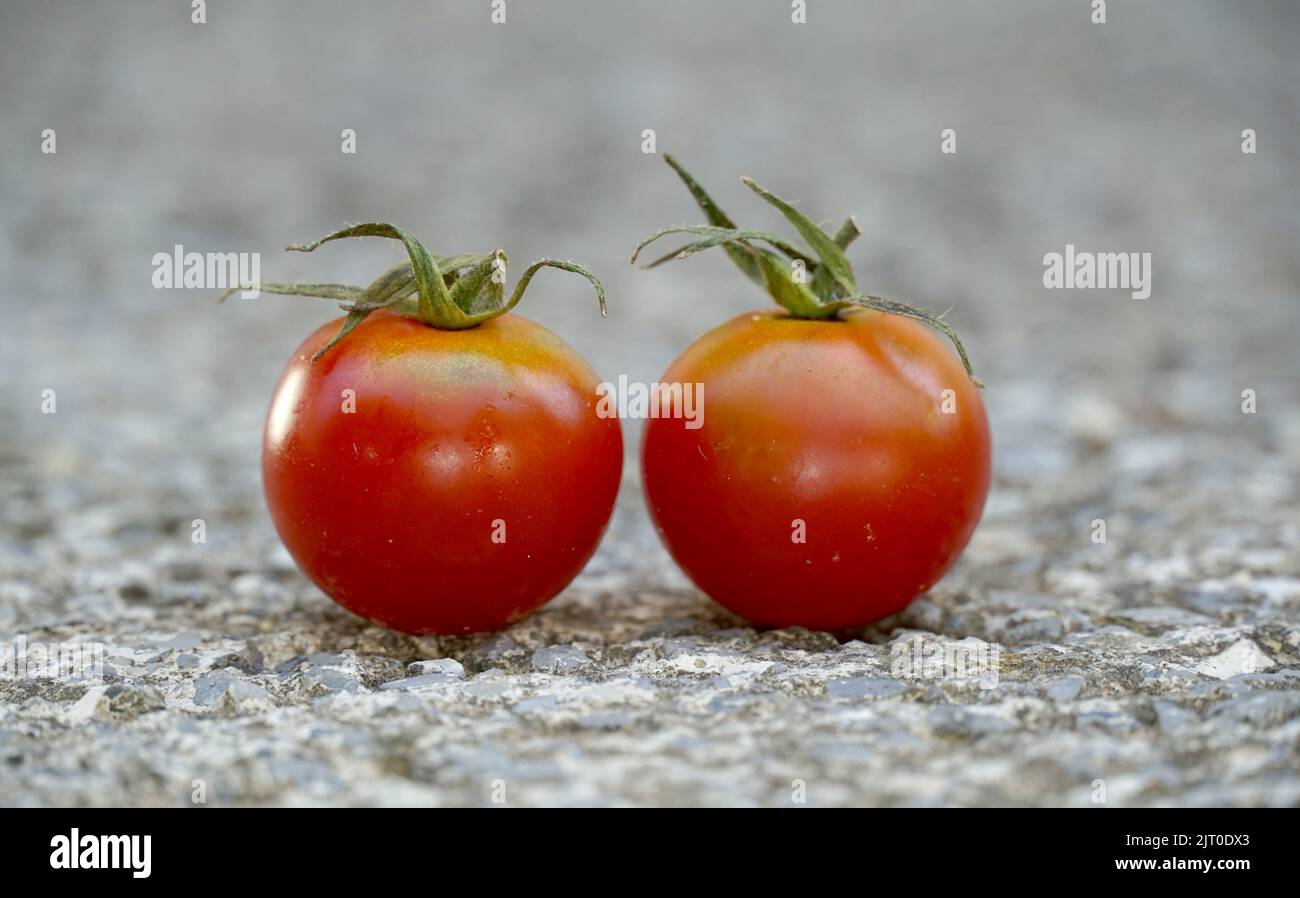 Red tomatoes isolated on white Stock Photo - Alamy