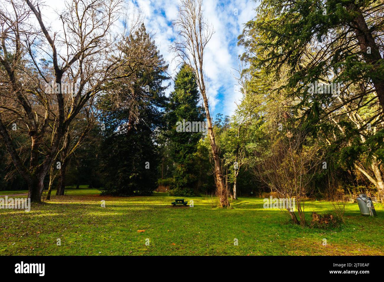 Fernshaw Picnic Ground in Victoria Australia Stock Photo