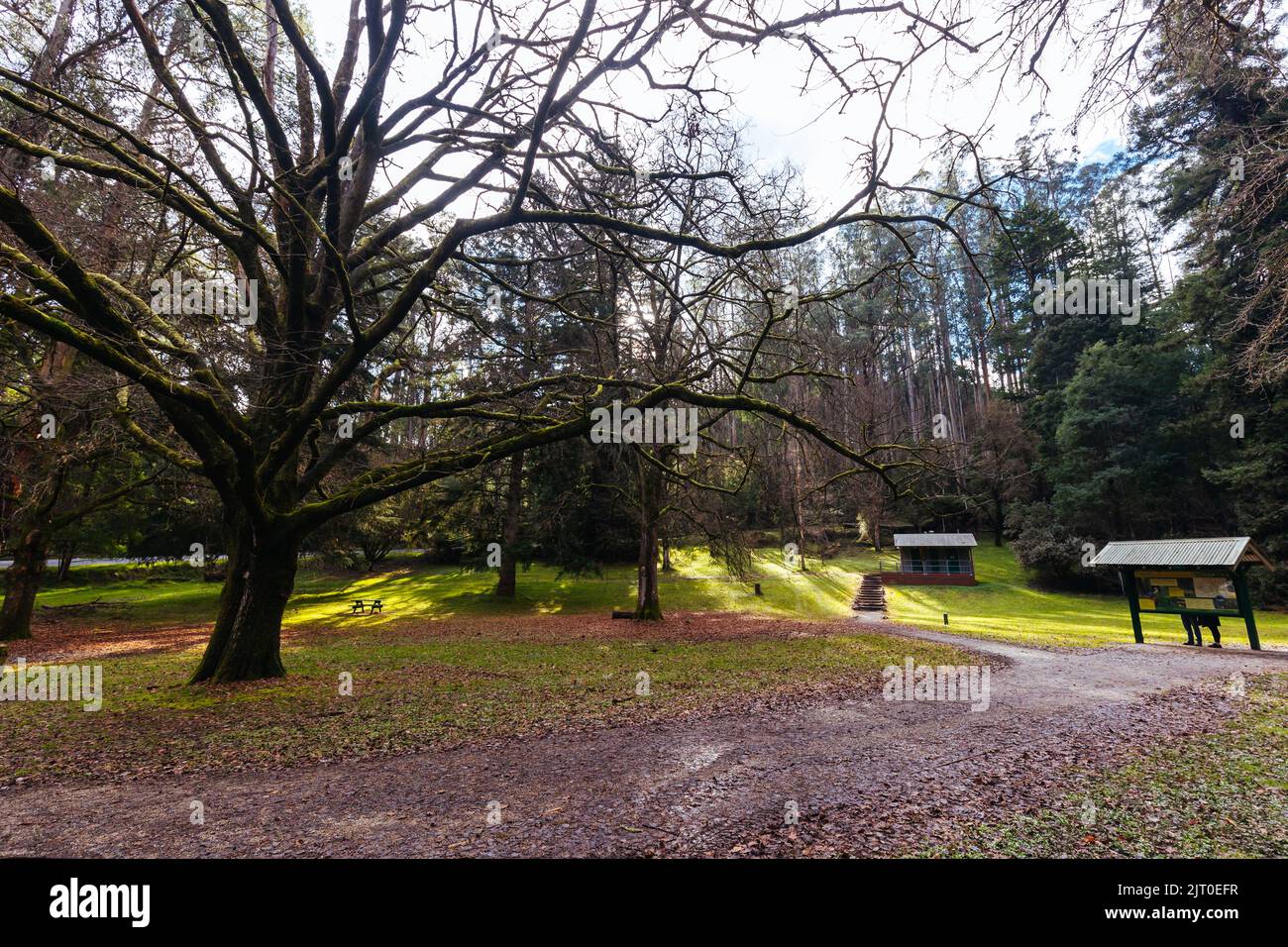 Fernshaw Picnic Ground in Victoria Australia Stock Photo