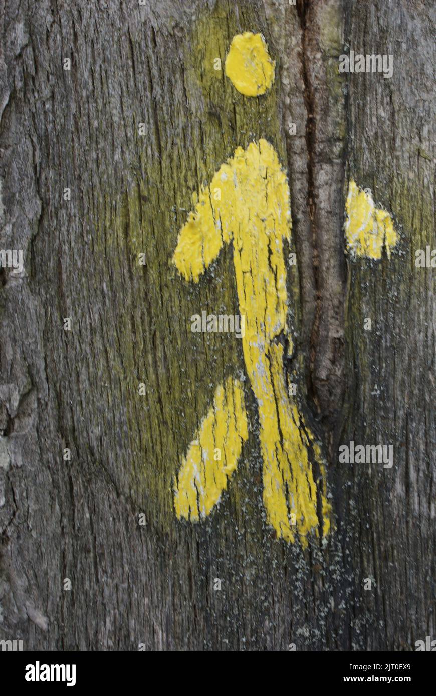 Un bonhomme jaune sur un arbre, France Stock Photo
