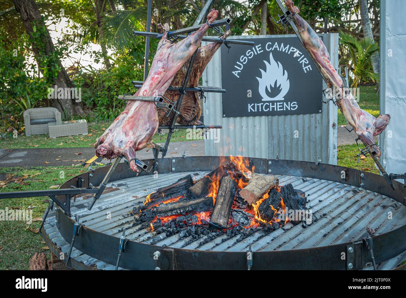 An elaborate roasting-spit in the foreground barbecuing three succulent lambs over a circular steel fire pit at a festival in Port Douglas, Australia. Stock Photo