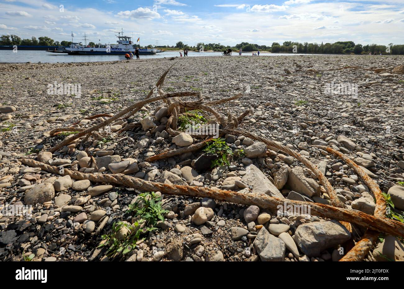 Duisburg, North Rhine-Westphalia, Germany - Dry riverbed in the Rhine at the ferry landing Walsum, Rhine ferry Walsum-Orsoy. After a long drought, the Stock Photo