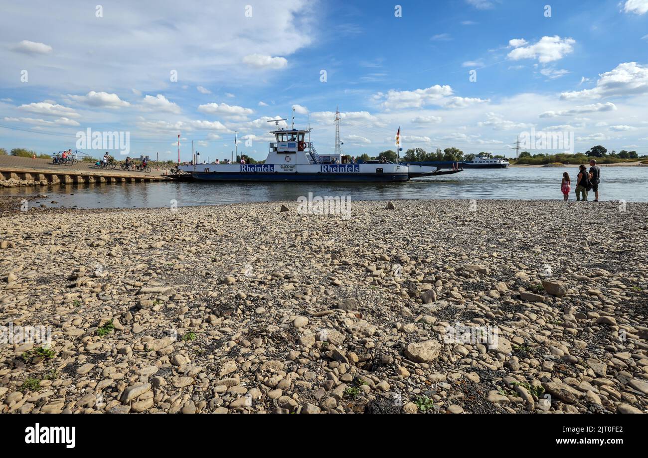 Duisburg, North Rhine-Westphalia, Germany - Dry riverbed in the Rhine at the ferry landing Walsum, Rhine ferry Walsum-Orsoy. After a long drought, the Stock Photo