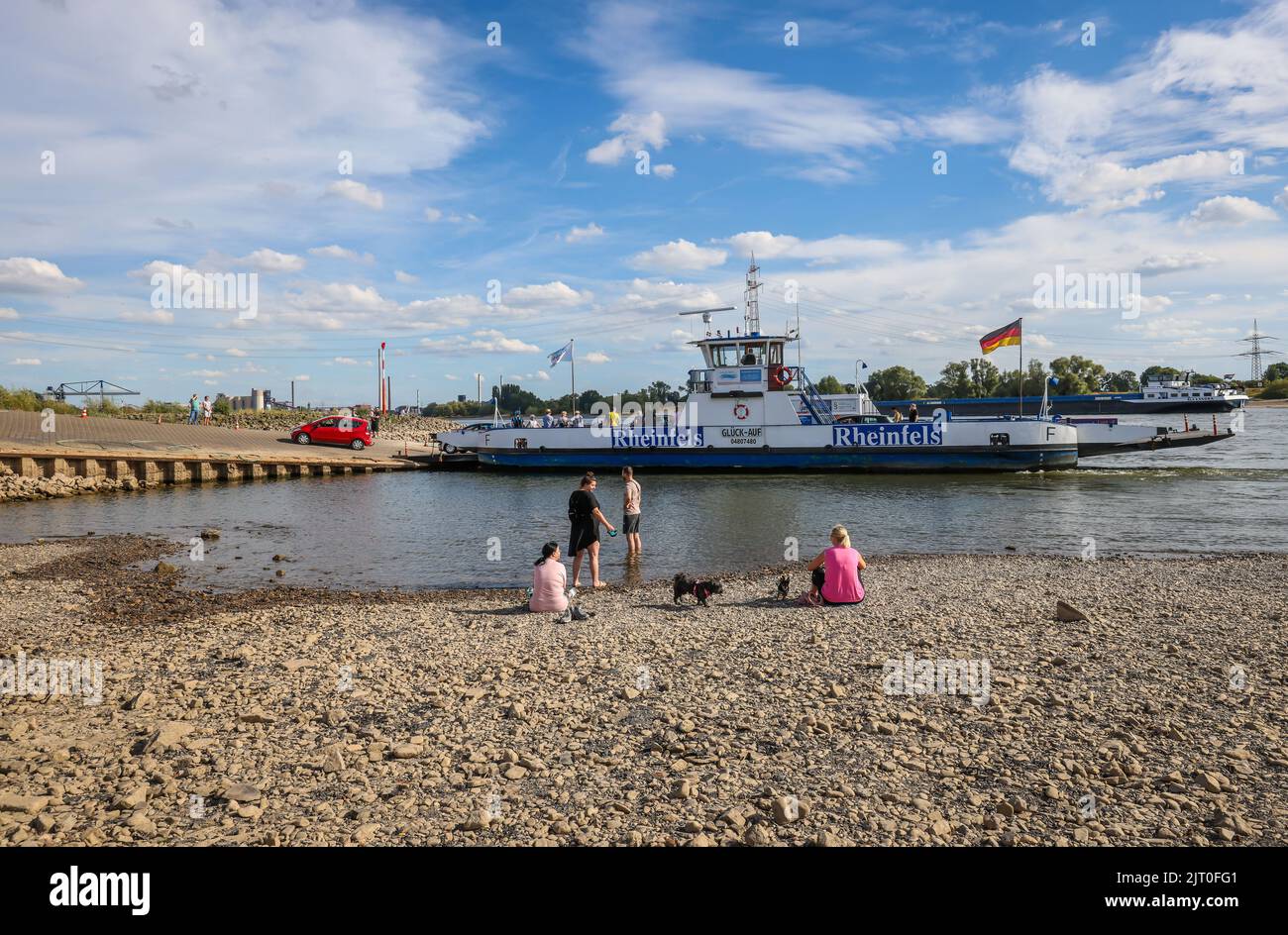 Duisburg, North Rhine-Westphalia, Germany - Dry riverbed in the Rhine at the ferry landing Walsum, Rhine ferry Walsum-Orsoy. After a long drought, the Stock Photo