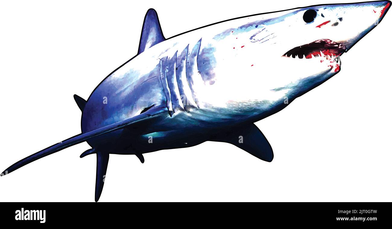 Mako Shark T-Shirt artwork and logo design Stock Vector