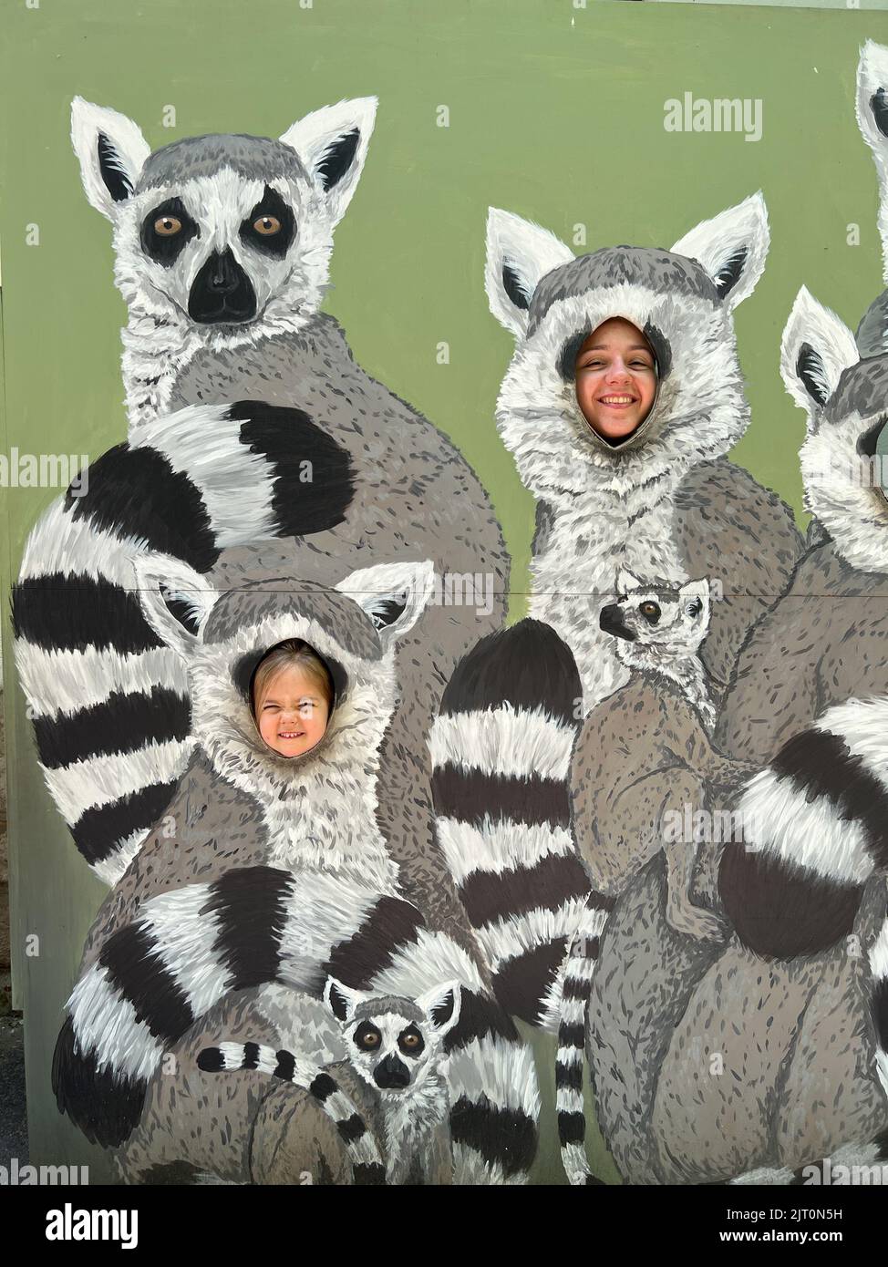 Budapest, Hungary - 13.07.2022: Mom and daughter put their faces into a tantamaresque with painted lemurs Stock Photo
