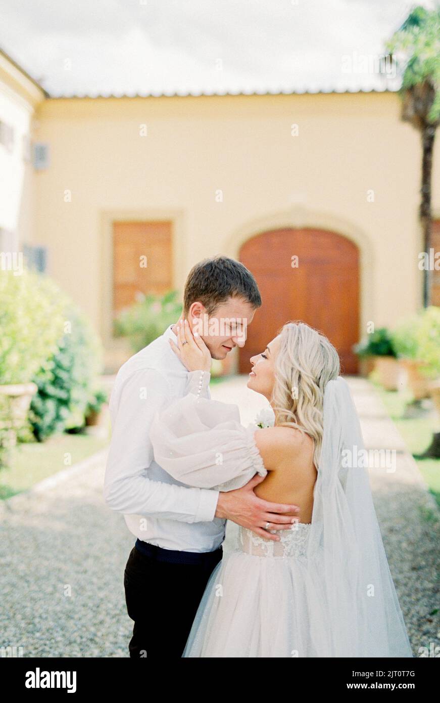 Bride and groom hugging in front of a building in the garden Stock ...