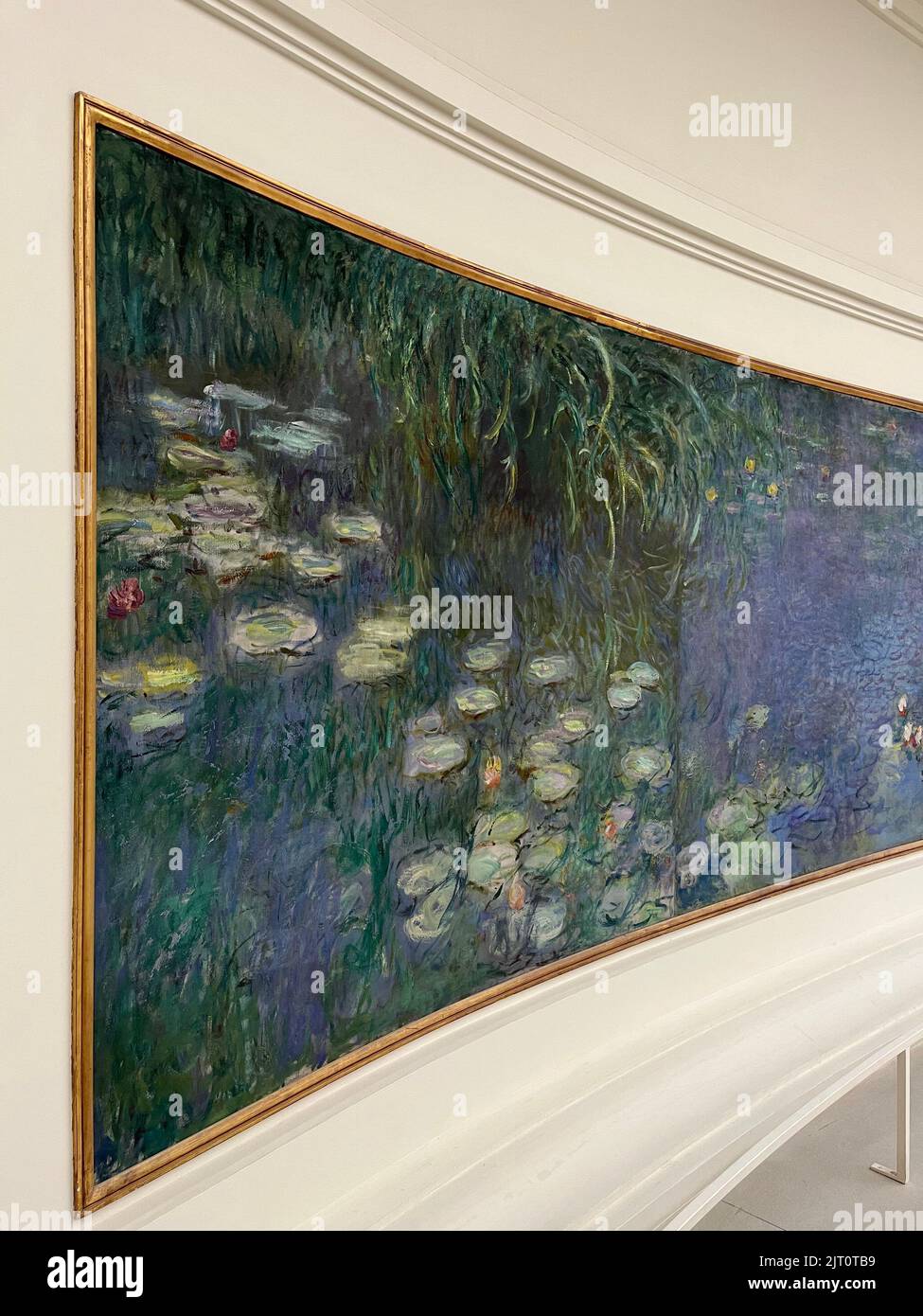 Water lilies by Claude Monet Stock Photo - Alamy