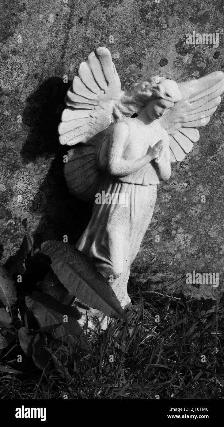 Small carved angel at the base of a headstone, Netherbury, Dorset, UK Stock Photo