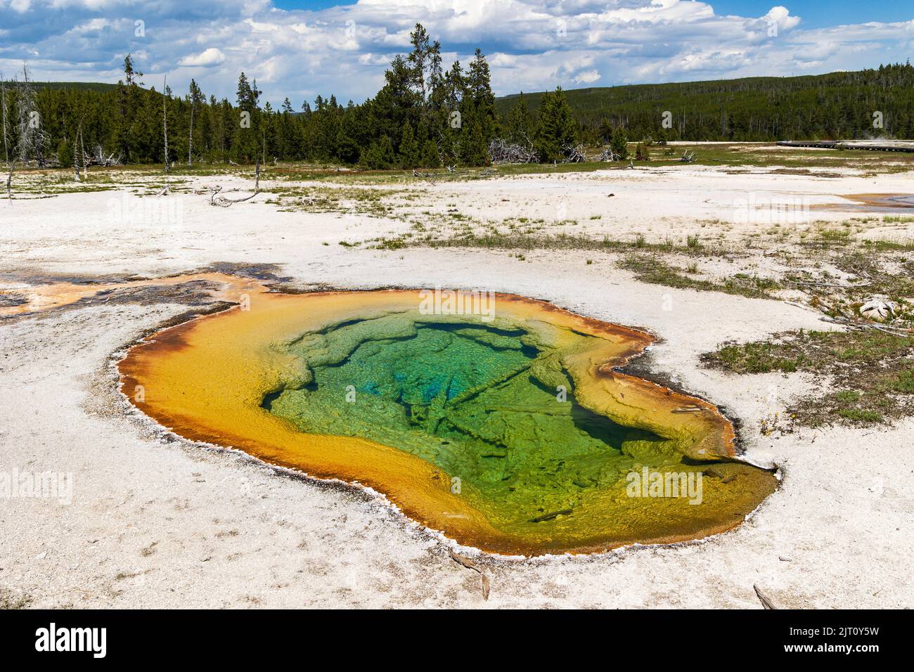 West Geyser in Yellowstone's Biscuit Basin, Yellowstone National Park, Wyoming, USA Stock Photo