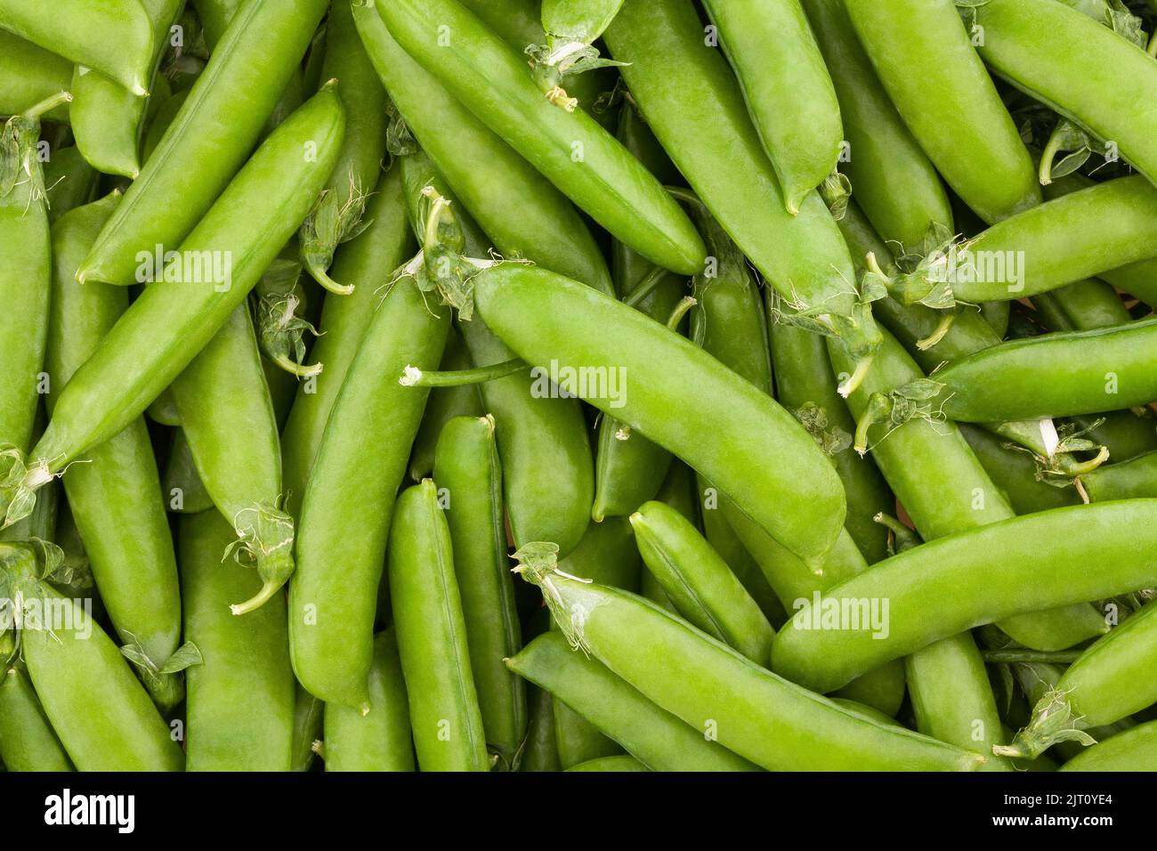 Pea pattern hi-res stock photography and images - Alamy