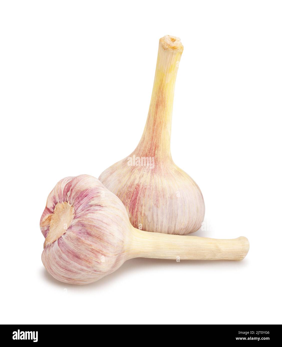 garlic path isolated on white Stock Photo