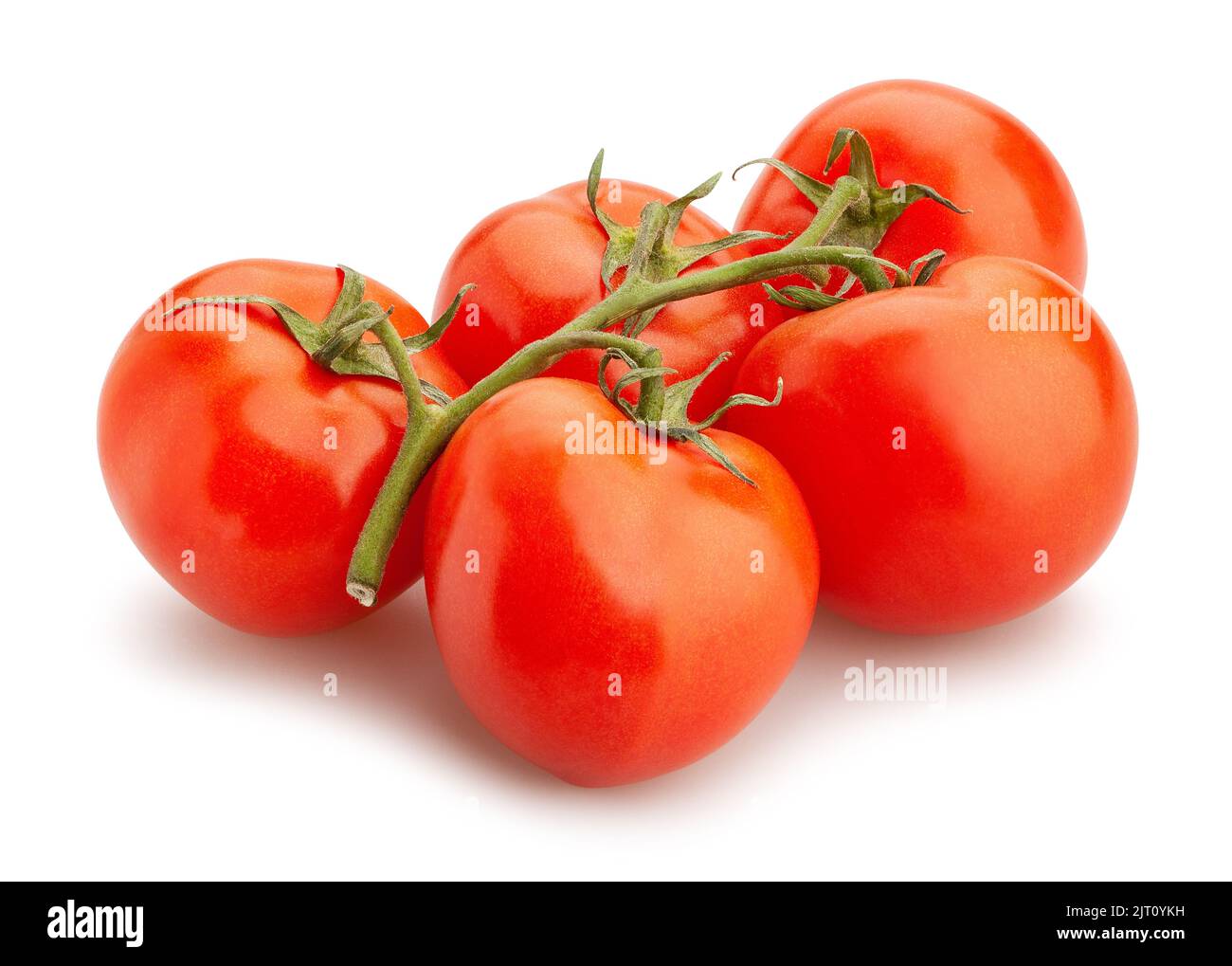 tomato path isolated on white Stock Photo