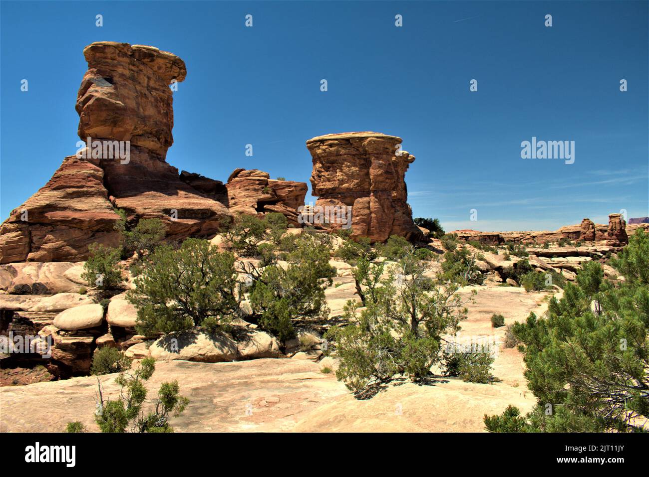 Underneath Red Rocks The red rocks in Utah desert under sunlight with greenery and sand ...