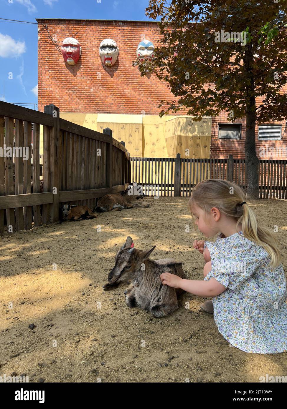 Budapest, Hungary - 13.07.2022: Little girl petting a goatling in a corral at the farm Stock Photo