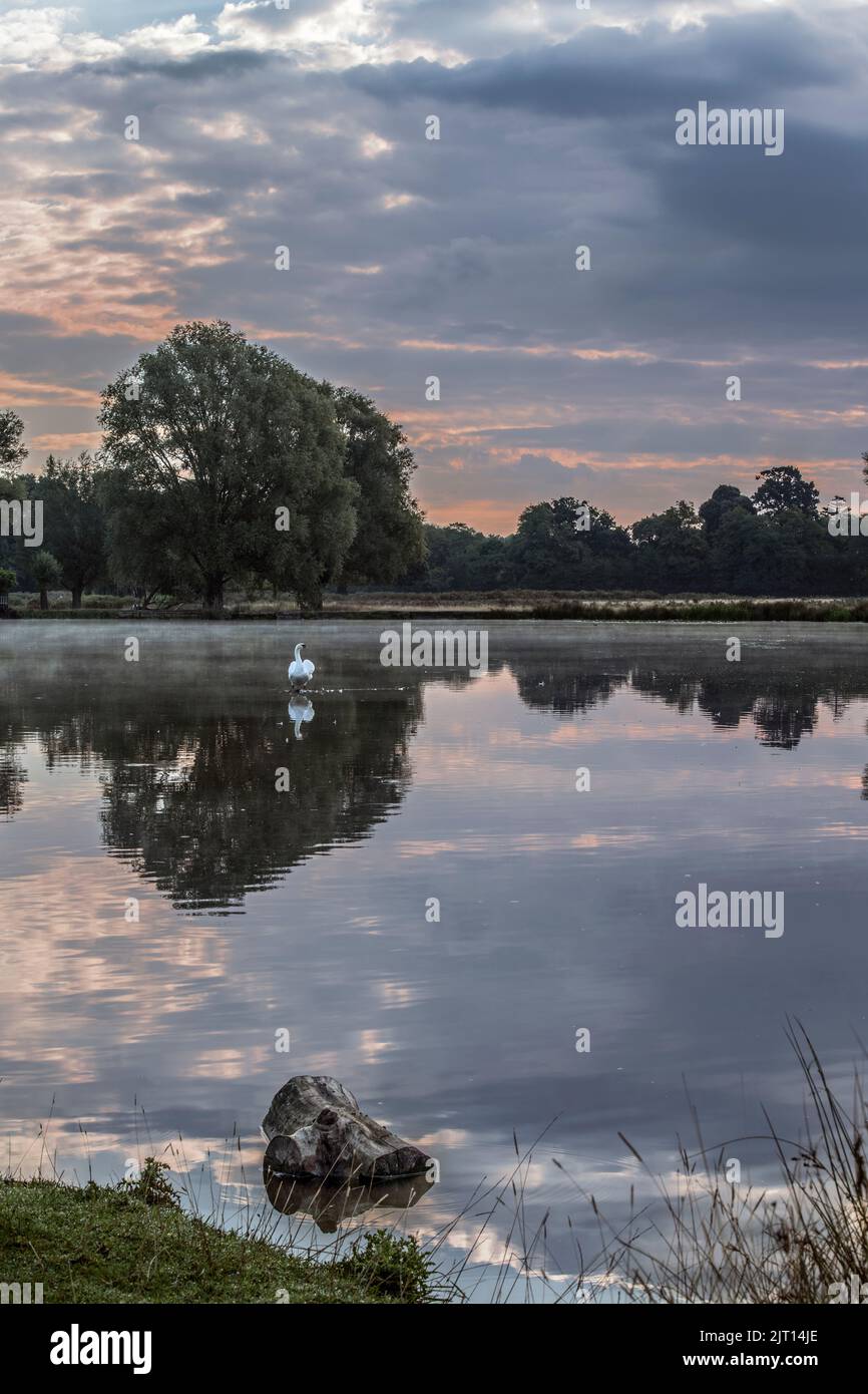 Morning clouds over ponds at Bushy Park Surrey Stock Photo