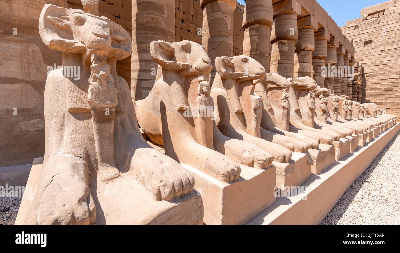 A row of ram headed sphinxes, Karnak Temple, Luxor, Egypt. Stock Photo